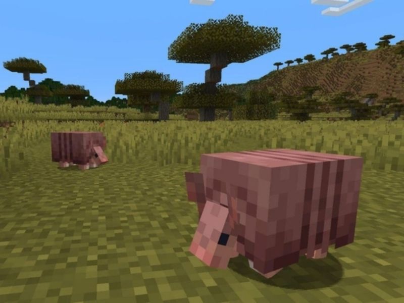 Bạn đồng hành trên sa mạc trong Minecraft 1.20 Tiếng Việt