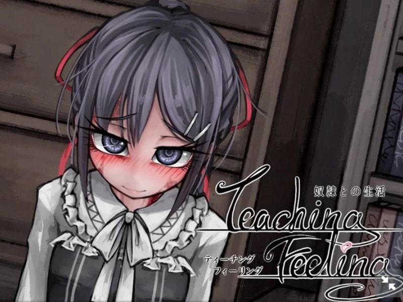 Giới Thiệu Về Teaching Feeling MOD APK