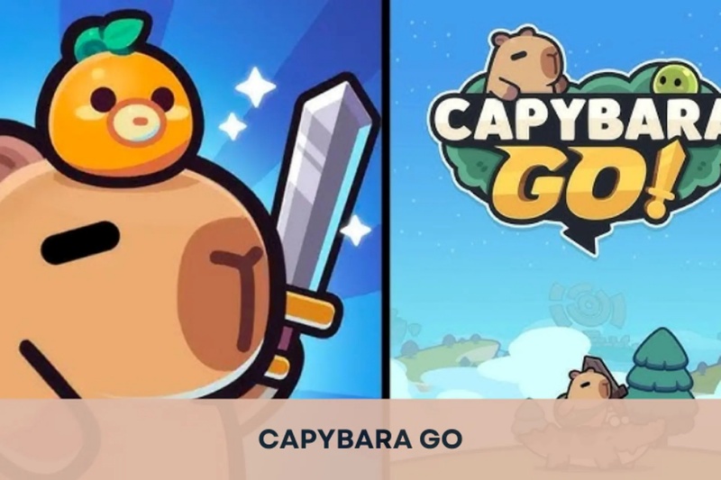 Capybara Go banner