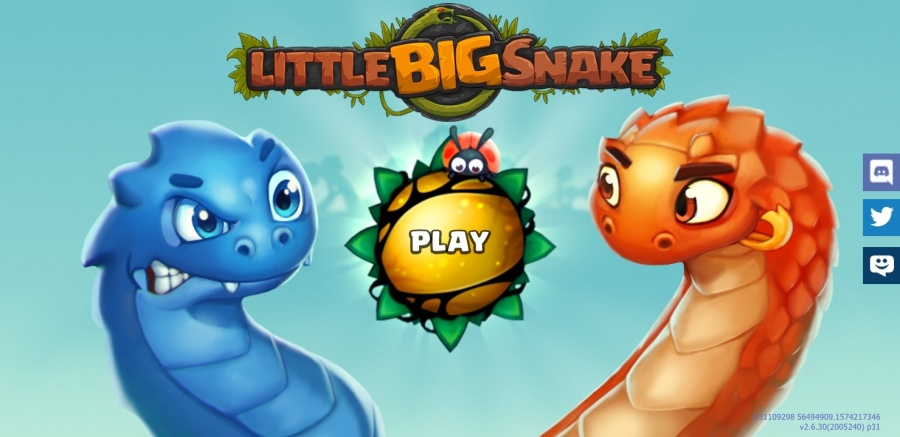Little Big Snake banner