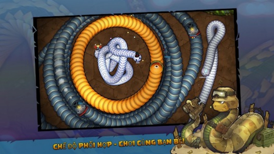 Little Big Snake banner
