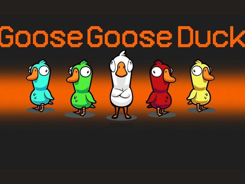 Thông Tin Về Goose Goose Duck APK