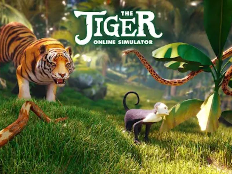 Thông Tin Về The Tiger Mod